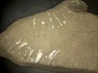 1 INDIAN ROCK.webp
