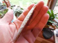 DSCN3497.webp