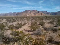 penablanca.webp