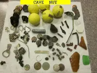 1117NUT.webp