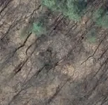 mound_topophoto1.webp