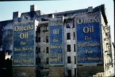 rich_omegaoil.webp