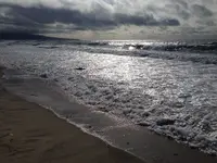 005.webp 005.webp