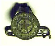 Diaper Pin with star tab.webp