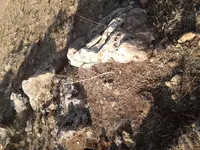 20131103_125621.webp
