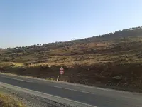 20131103_134101.webp