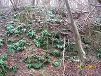 100_2122.webp