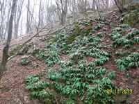 100_2123.webp