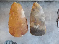 DSCN3531.webp