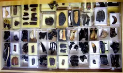 drawer_misc.webp