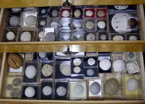 drawer_echinoids.webp