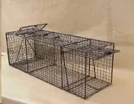 CoyoteTrap.webp CoyoteTrap.webp