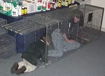 CoyoteTrap2.webp CoyoteTrap2.webp