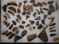 DSCN3273.webp