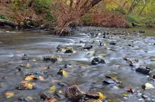 fullszcreeksmsz.webp