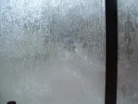 DSCF0016.webp