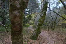 DSC_2940smsz.webp