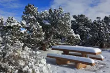 008.webp