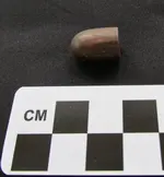 079A Bullet.webp
