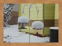 DSCN0532.webp