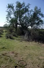 DSCF7939rs.webp