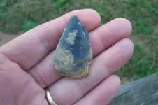 100_4459.webp