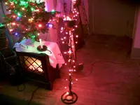 CAM_0990.webp