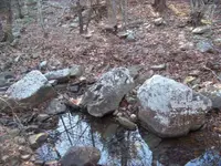 mm 1-22-13 131.webp