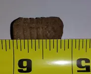 20131113_102929.webp