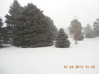 DSCN3584.webp