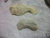 100_6785.webp