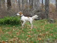 TUCKER 002.webp