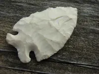 DSCN1219.webp