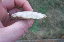 100_4504.webp