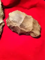 image-4229153566.webp