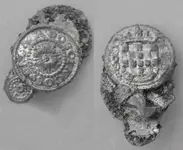 Seal of Da Casa Dos Cingos-1_resize.webp