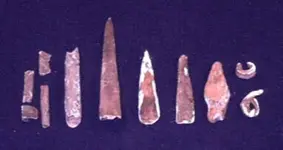 copper toolsW.webp