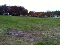urban 002.webp