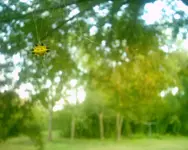 POTO0187.webp