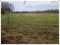 IMG-20131202-03479.webp