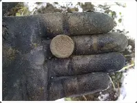 Brass Shell 001.webp