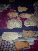 image-1121572408.webp