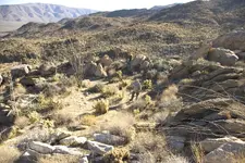 CampSite1b.webp