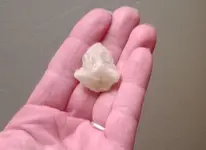 WP_20131208_002.webp