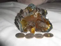 DSCN3001.webp