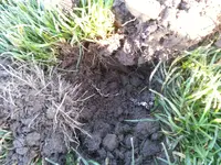 20131229_084051.webp