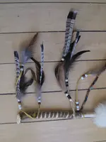 Saje Antler Close.webp