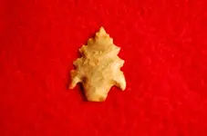 arrowheads 053.webp
