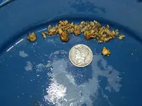 Bonnell Chunks 005.webp