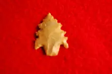 arrowheads 054.webp